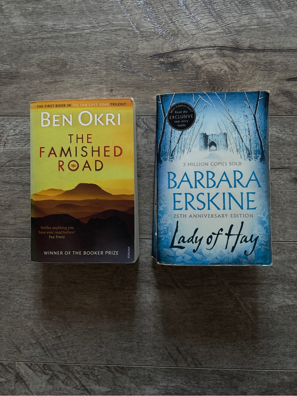 The Famished Road Paperback & Lady of Hay Contemporary Book Set